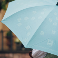 Two umbrellas are lying side by side, folded up.