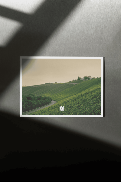 AM LUMPEN 1655® Escherndorf | VDP.GROSSE LAGE®